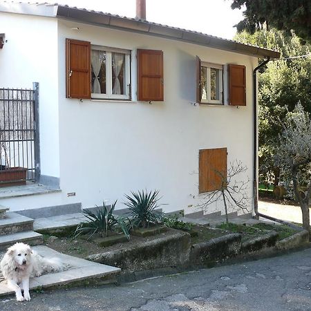 Villetta Aleanto Mentana Exterior foto